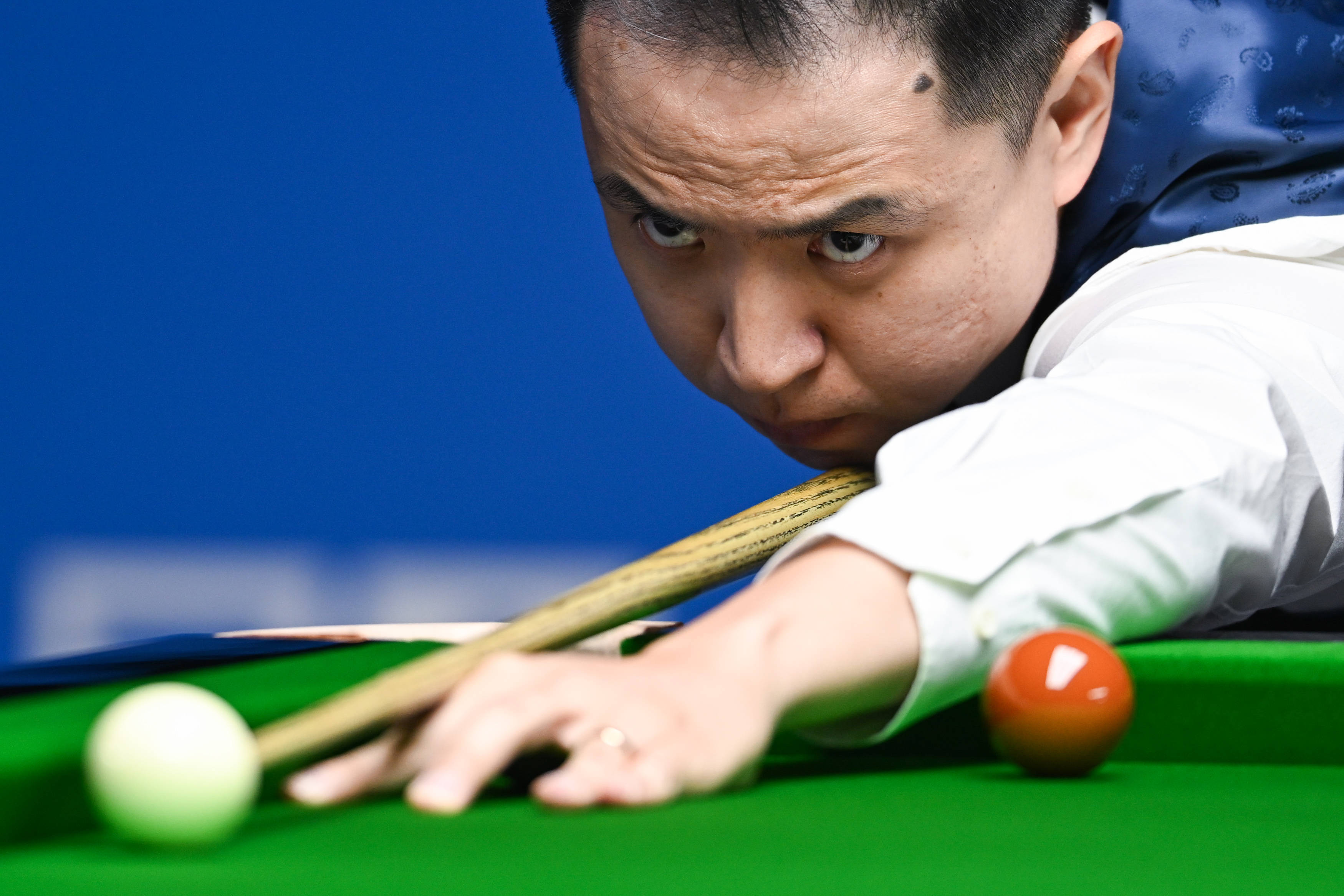 显示出极高 显示出极高