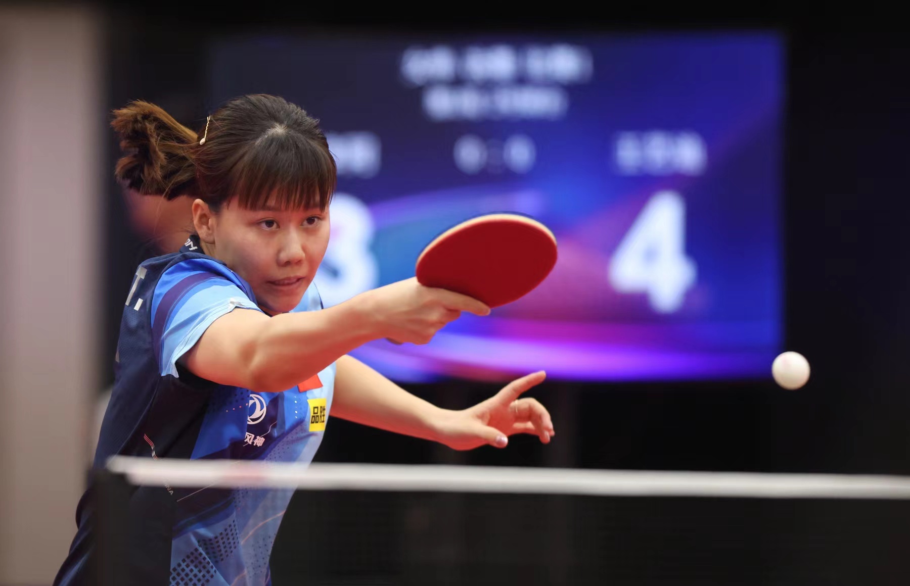 建立了良好 建立了良好