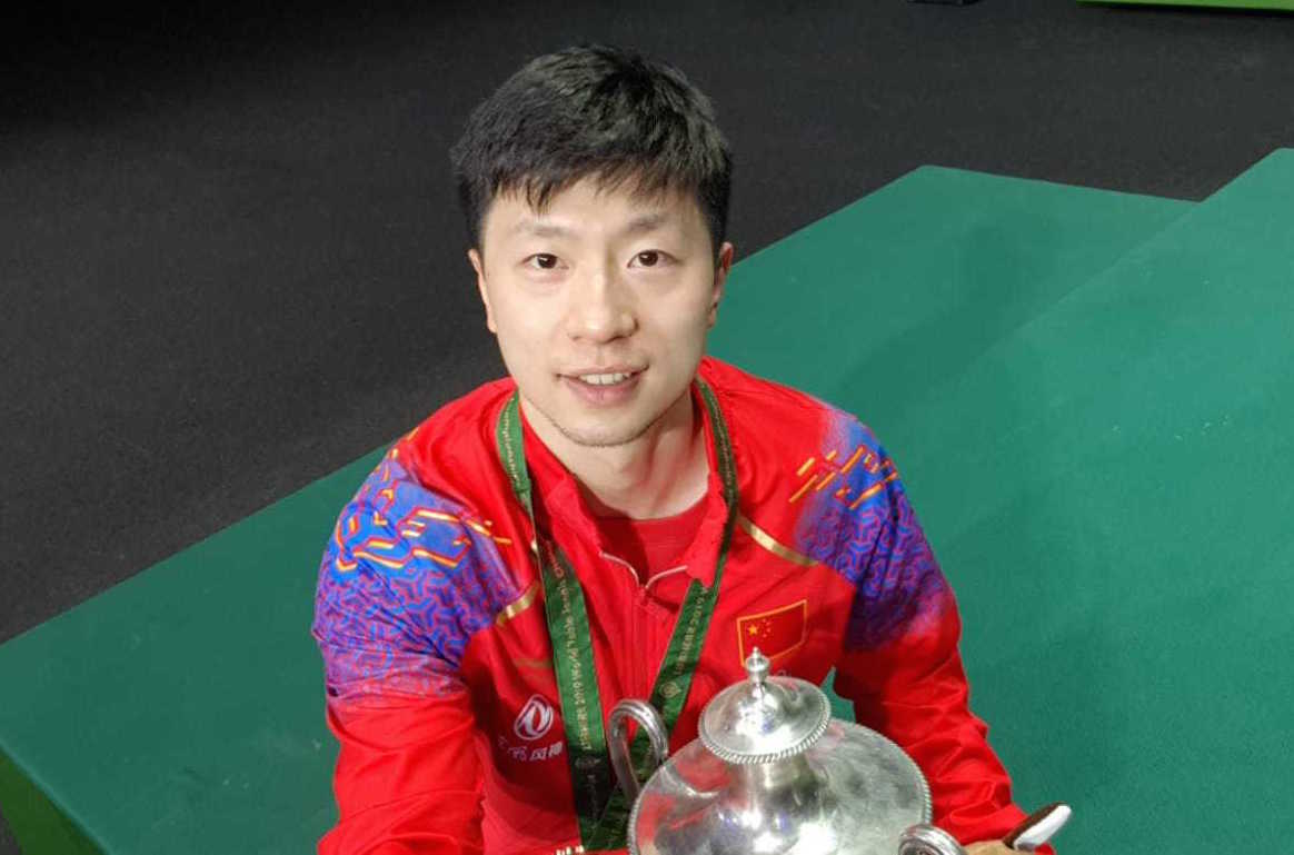 体与多样化 体与多样化